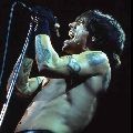 Red Hot Chili Peppers - Nem mennek a sztárok Balira