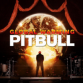 Pitbull - Pitbull album 