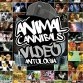 Animal Cannibals - Animal Cannibals: Videó antológia /DVD/ (Magneoton)