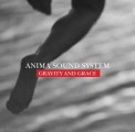 Anima Sound System - Anima Sound System: Gravity and Grace (Magneoton)